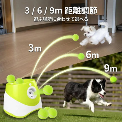PawFun™ 愛犬用自動ボールマシン