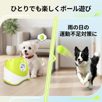 PawFun™ 愛犬用自動ボールマシン