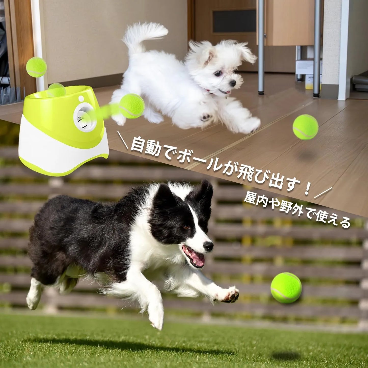 PawFun™ 愛犬用自動ボールマシン