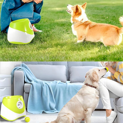PawFun™ 愛犬用自動ボールマシン