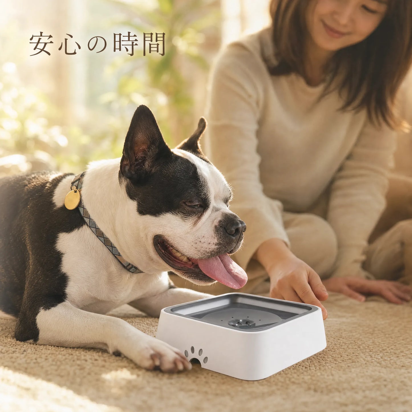 SplashFree™ 水浸し防止ボウル